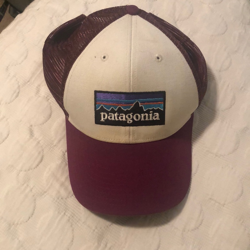 Patagonia trucker hat